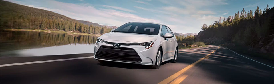 What Are the Different Toyota Corolla Models?